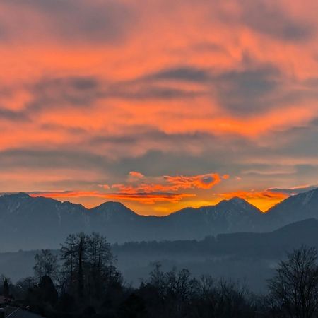 Am Eichholz Galerie & Art-Hotel Murnau am Staffelsee Dış mekan fotoğraf