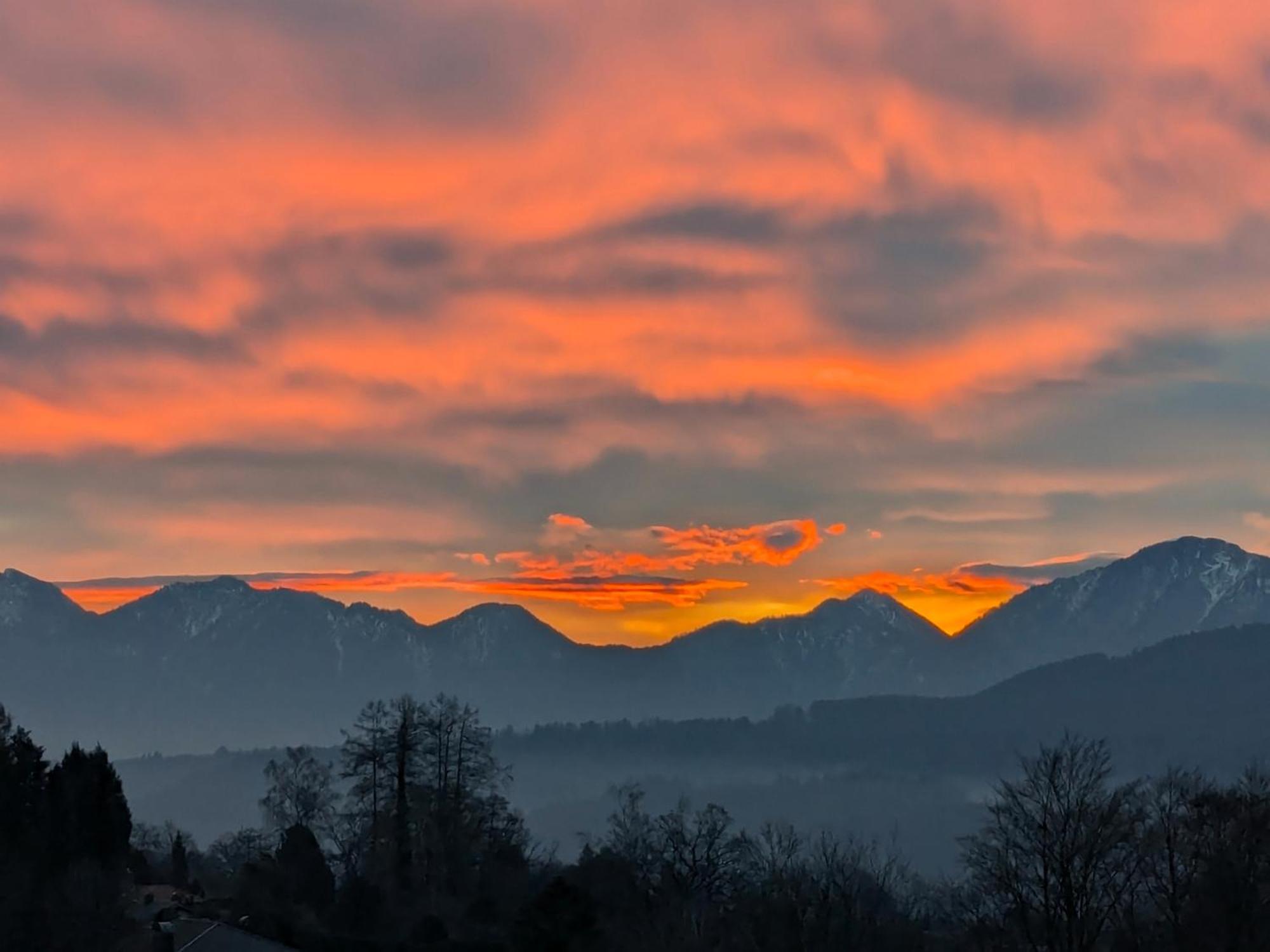 Am Eichholz Galerie & Art-Hotel Murnau am Staffelsee Dış mekan fotoğraf